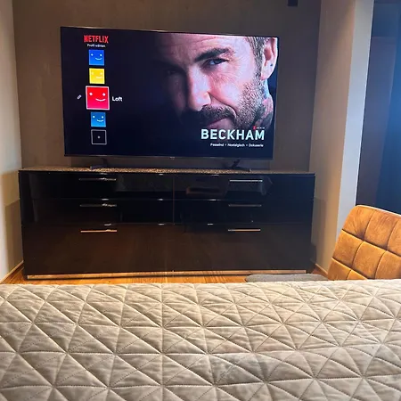 Apartament Luxus Loft Ueber Den Daechern Von Roding